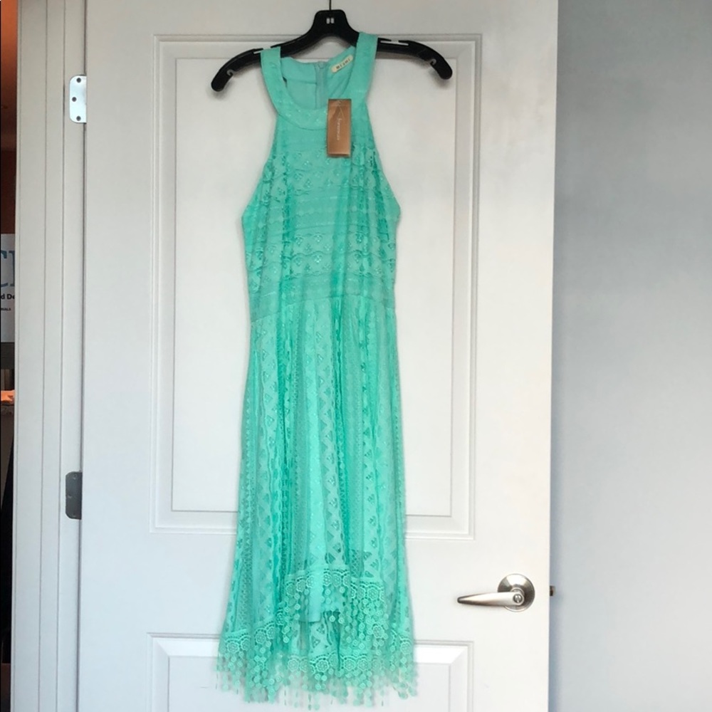 NWT Francesca (Miami) lace dress in mint green